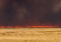 Steppe fires. Methods of extinguishing fires