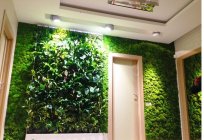 Vertical gardening with his own hands: features, recommendations, and reviews