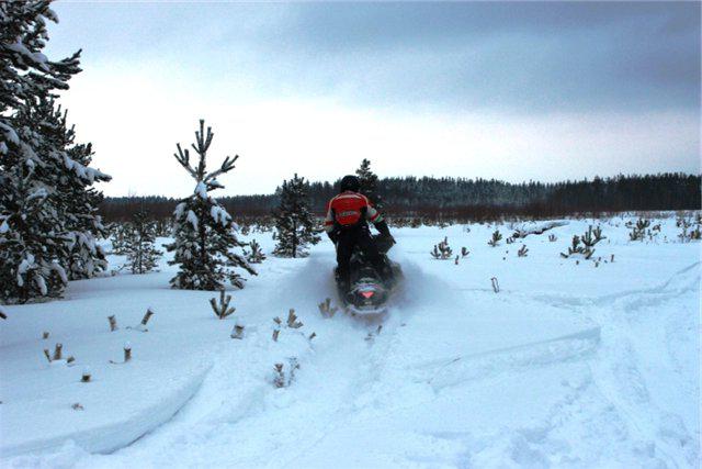 la moto de nieve en la caza