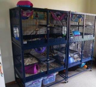 la Ampliación de la jaula para roedores