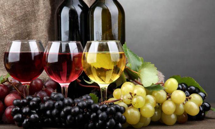 Wines of Cyprus testimonials