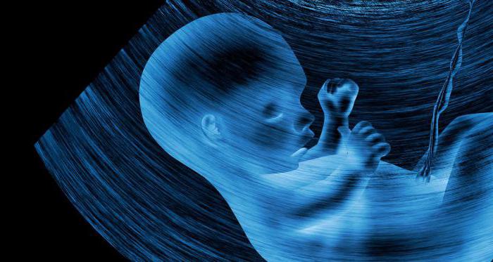cómo determinar la posición del bebé en el vientre mismo