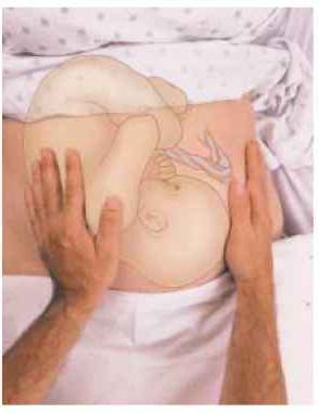 como determinar a posição do bebê na barriga em 31 de semana