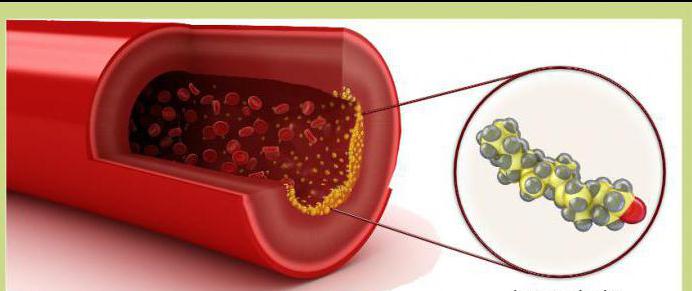 cholesterol in the blood
