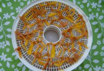 How to dry chanterelle mushrooms in home - making and recommendations