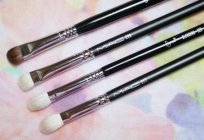 Brush MAC. A set of brushes for makeup MAC (12 pieces): reviews. Analogues brushes MAC