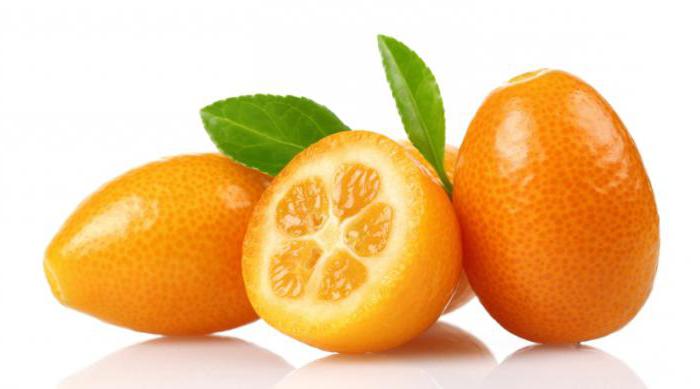 Kumquat Frucht