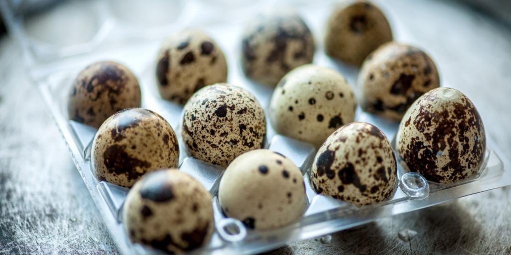 перепелиные яйца рецептер азық-түлік саусақ