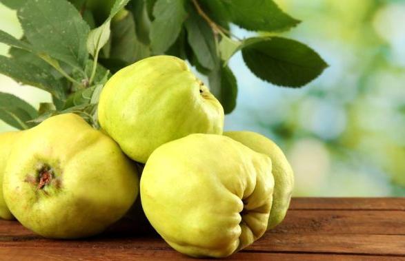 quince than useful