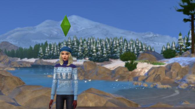 Sims4冬の