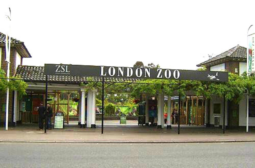 o jardim zoológico de Londres