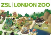 حديقة حيوان لندن: نسمة, تاريخ, موقع