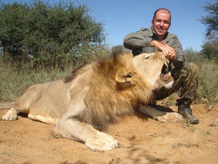 la caza del león