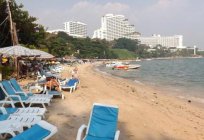 Hotel 3* Cosy Beach Hotel, Thailand, Pattaya: overview, description, features, and reviews of tourists