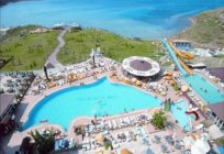 Didim Beach Resort Aqua 5* (Didim, تركيا): وصف الخدمات استعراض