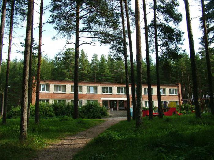 children's camp Svyazist