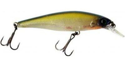 the Most successful lures for pike: photo