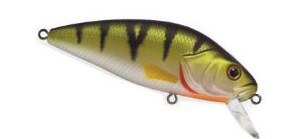 Top most catchability wobblers for pike