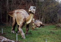 魅キーロフ地域:美しい自然の神聖な場所の墓地の恐竜