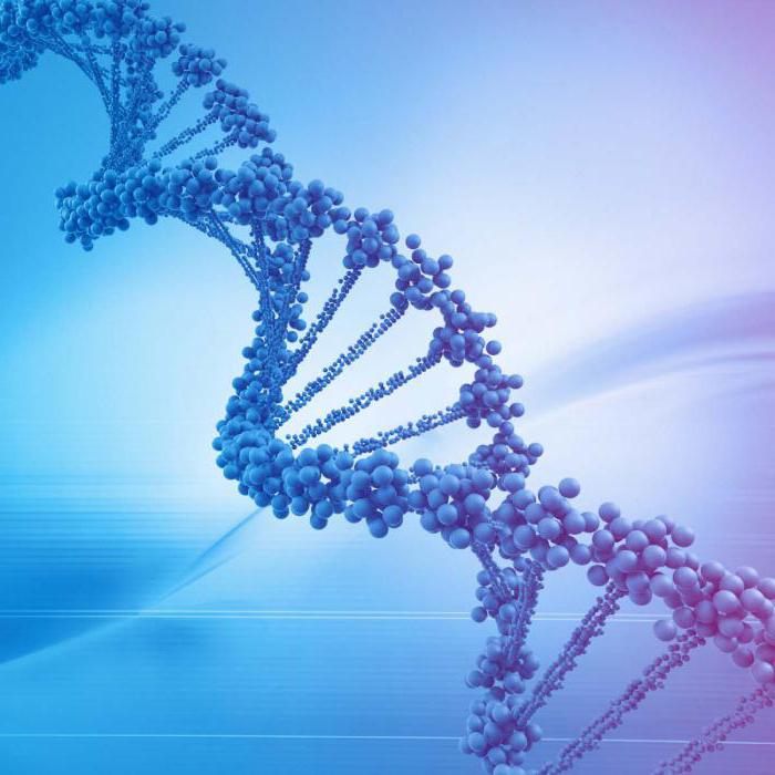 DNA parçalanma sperm
