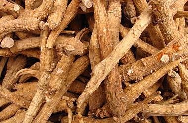 ginseng extract price