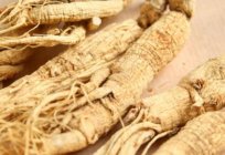 Tincture of ginseng: why and when used