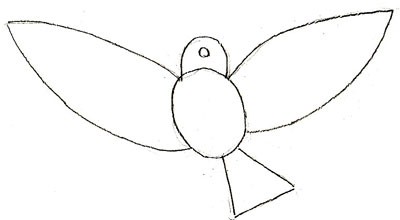 jak narysować papugę ołówkiem etapami