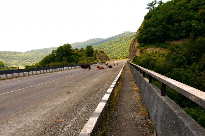 yol moskova'dan gürcistan'a araba