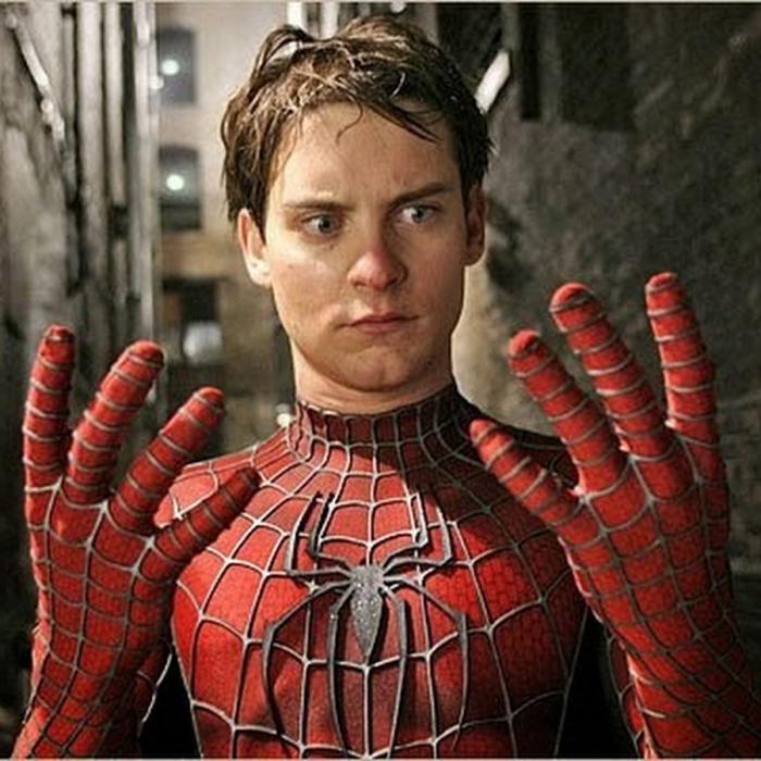 Spider-man 1 Schauspieler