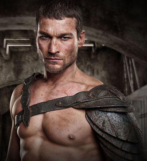 Andy Whitfield Biografie