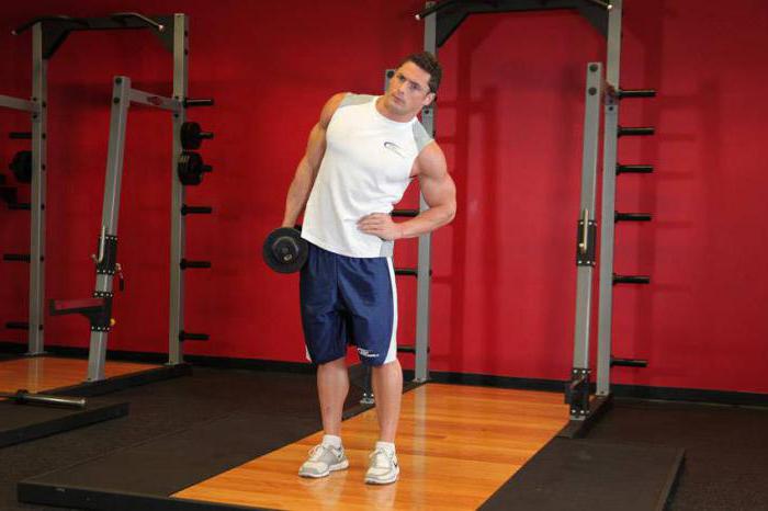 bends with dumbbells in hand, standing what muscles are working