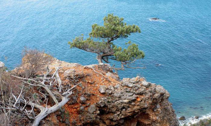 welche Nationalparks gibt es in der Krim