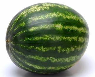 how to grow watermelon in the suburbs