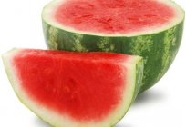 How to grow watermelon in Siberia: tips gardeners-professional