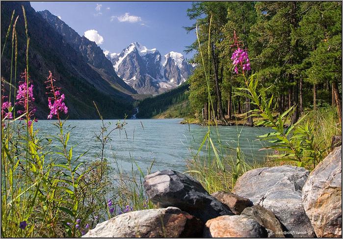 lakes of Altai Krai stay