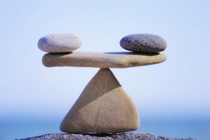life balance Wheel or a system of values