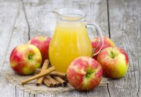Profesionales extractor de jugos de manzanas - descripción de las características y los clientes