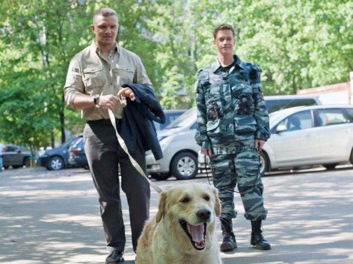 tv dizileri köpekler hakkında polis