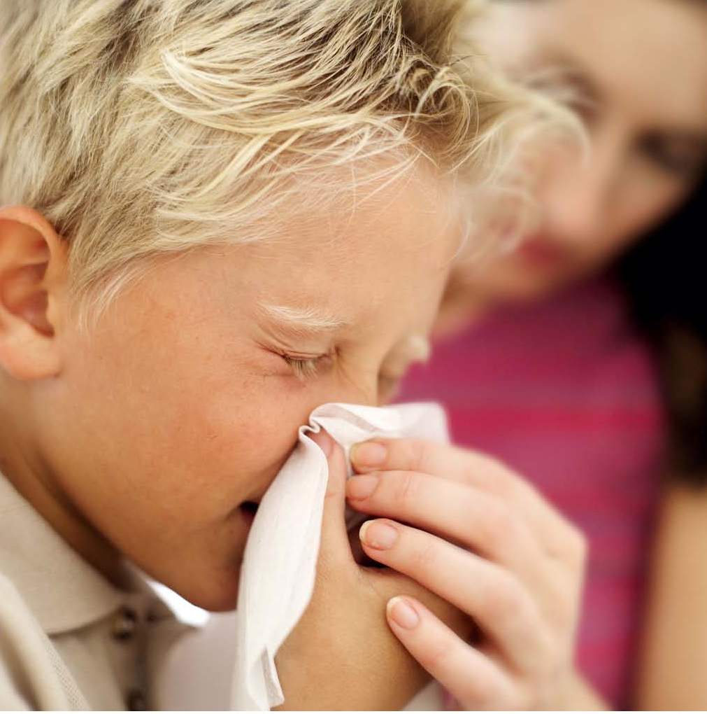 el Tratamiento de la sinusitis en los niños