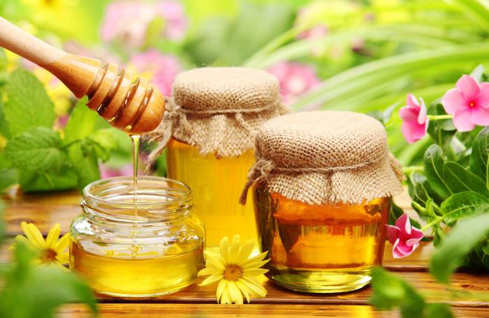 fundamentals of beekeeping
