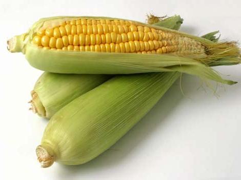 тэрмін захоўвання кукурузы