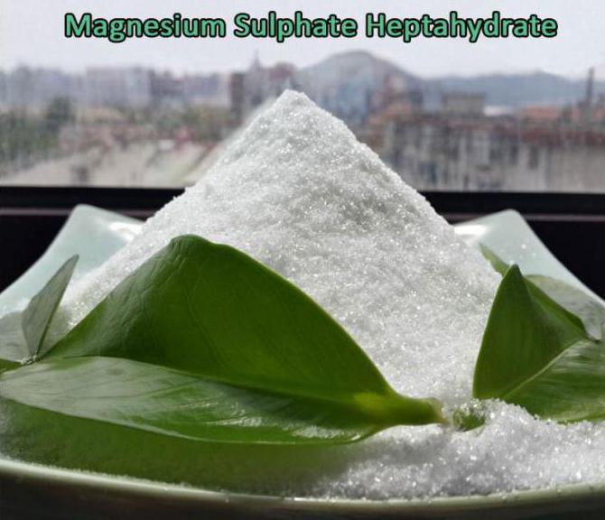 magnesium sulphate price
