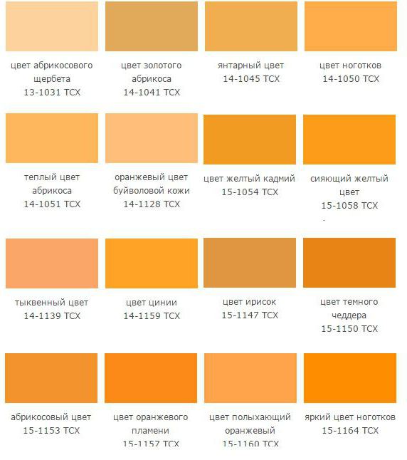turuncu tonlarında bir renk