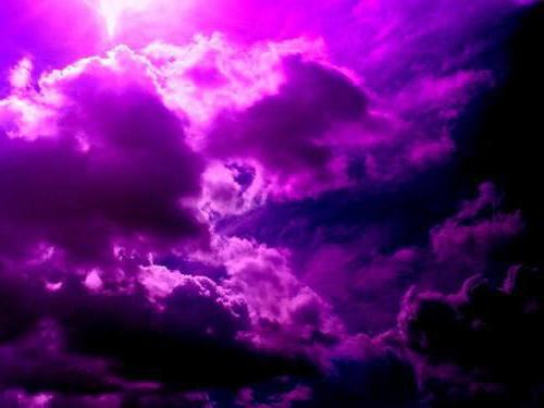 cool shades of purple