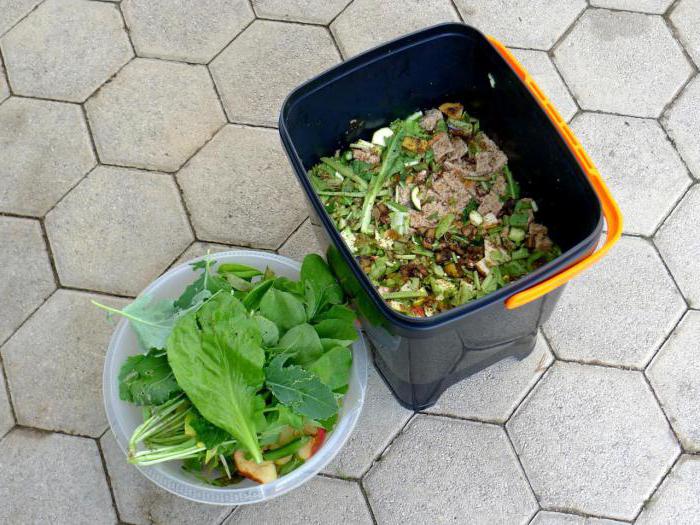 yemek kompost