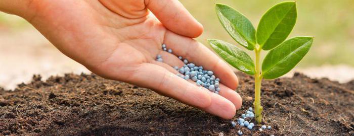 production of mineral fertilizers in Russia