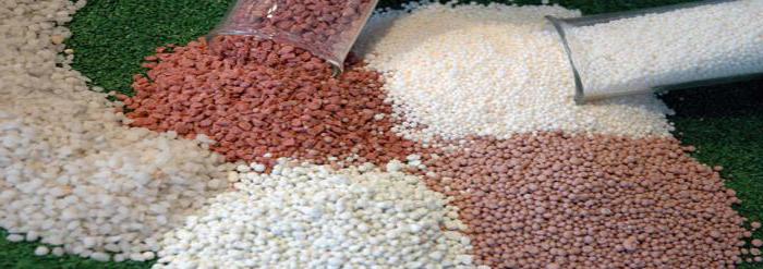 major centers of production of mineral fertilizers in Russia