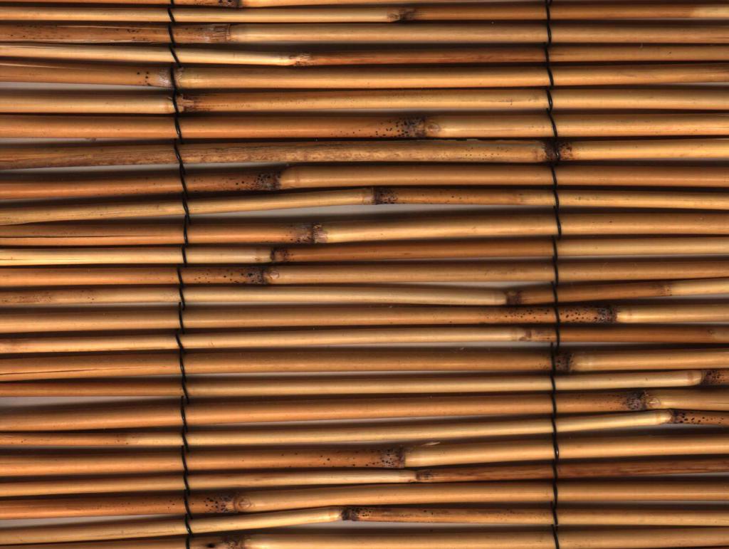 bamboo window blinds
