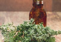 Bogorodskaya grass: medicinal properties and contraindications