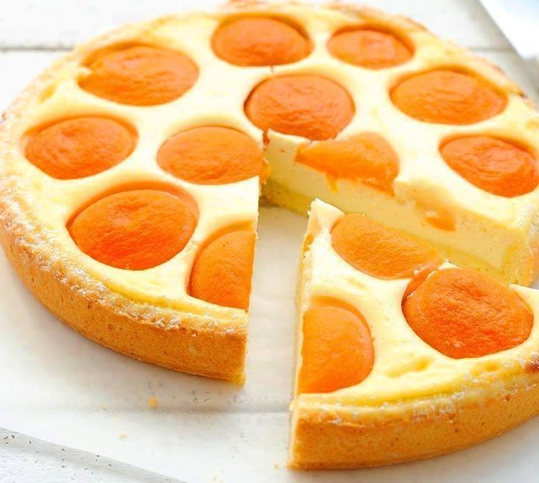 apricot cottage Cheese pie